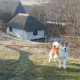 Lena in Texel
