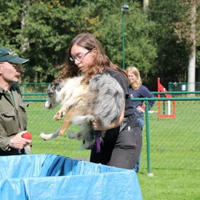 dogsurvival