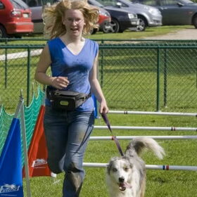 dogsurvival