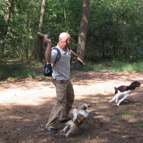 spelen in het bos