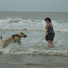 daguitstapje aan de zee