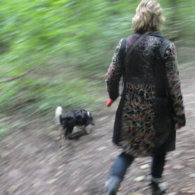 wandelen in het bos