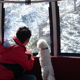 samen op weg naar de eeuwige sneeuw
