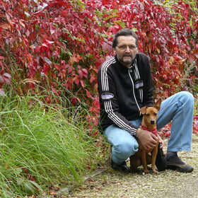 Herfstkleuren pracht