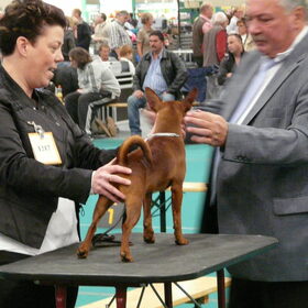 Het vrouwtje en Cody op de Internationale show in…