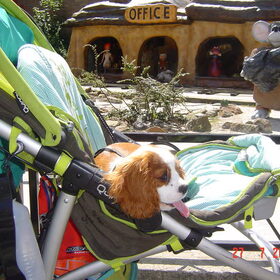 naBinky in het pretpark