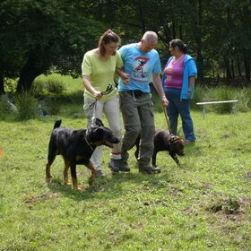 flevodogtrail 2008