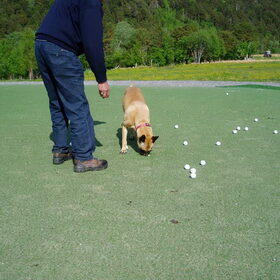 op naar de golfbaan!
