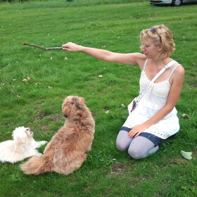de 3 boefjes :)