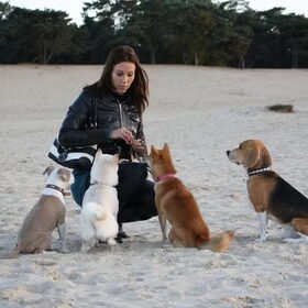Duinen