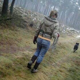 in de winter in het bos