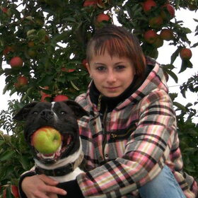 Tussen de Appelen en Peren