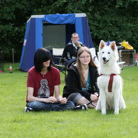 Met Indy kijken bij de Flevodog Show!