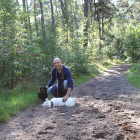 Wij in het bos