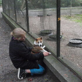 Lena kijkt naar de vogeltjes