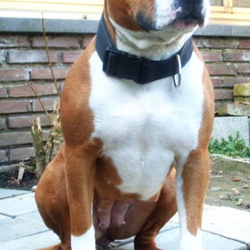 Mijun stoere axa :D