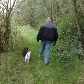 Met het baasje in het bos.