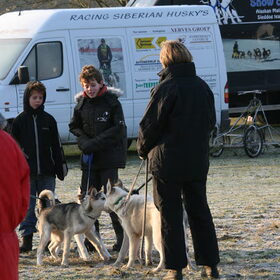 Bij de Husky wedstrijden in Bant ( N O P )