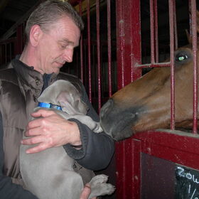 samen naar de manege, kennismaken met de paarden