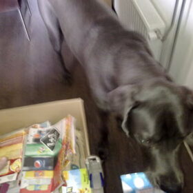 Athos helpt met papier