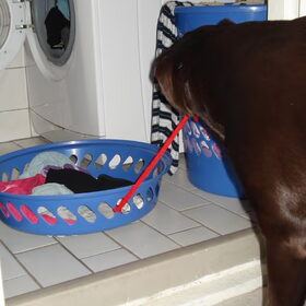 Slepen van de wasmand