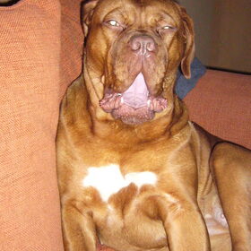 Wat is er???