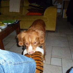 pantoffel uit doen