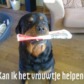 krant halen