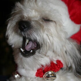 Ho ho ho Merry christmas!