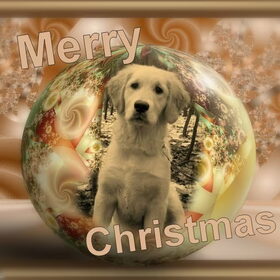 Kerstkaart 2010