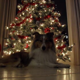 Sfeer foto