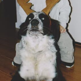 montie e jesse 6 jaar geleden