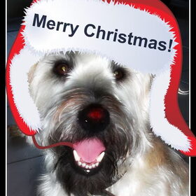 Merry Christmas!