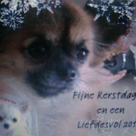 kerstkaart
