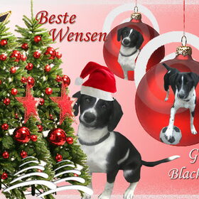 kerst