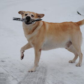 SNEEUW!!!!