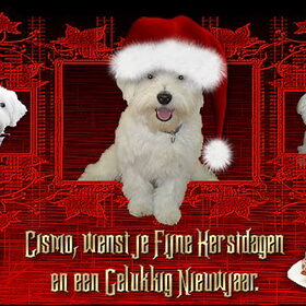 Cismo `s kerstkaart.