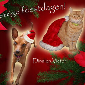 Prettige Feesten!