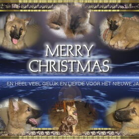kerstkaart