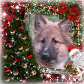 mn eerste kerst...