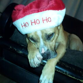 ho ho ho