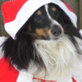 Een echt kerstmannetje ...