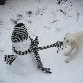 sneeuwpopje trekken