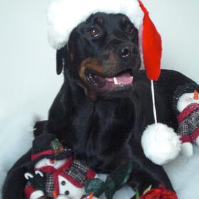 santa-rambo