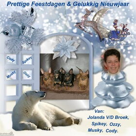 De vier musketiers