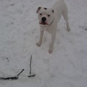 in de sneeuw.