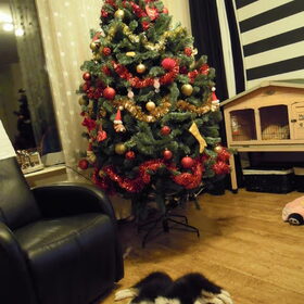 Onze kerstcadeautjes, hihi...