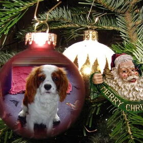 Kerst 2010