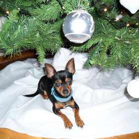 Spooky, kerstkindje