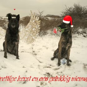 Eefke en Ippe